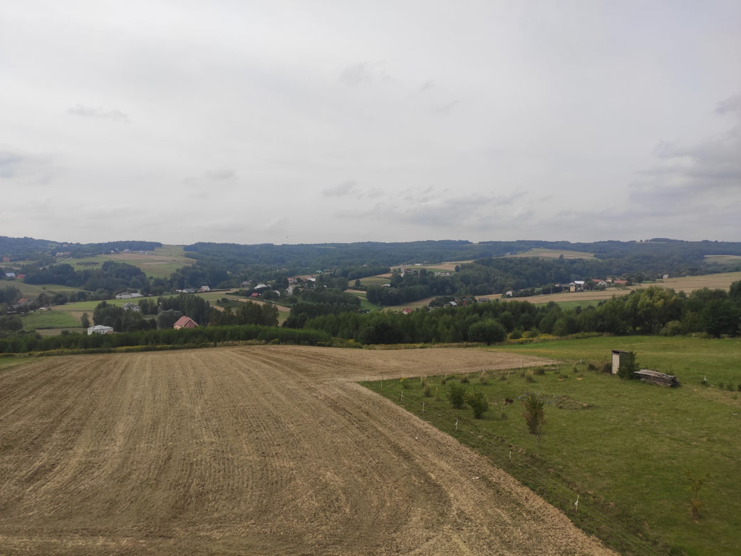 Różanka. Wieża widokowa i zabytkowy wiatrak [GALERIA]  