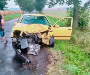 Kierowca osobówki wbił się w drzewo! Dramatyczny wypadek pod Grudziądzem