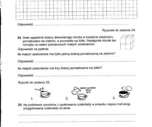 SPRAWDZIAN SZÓSTOKLASISTÓW 2012 – ZOBACZ PYTANIA, arkusz pytań 2012 - ZDJĘCIA