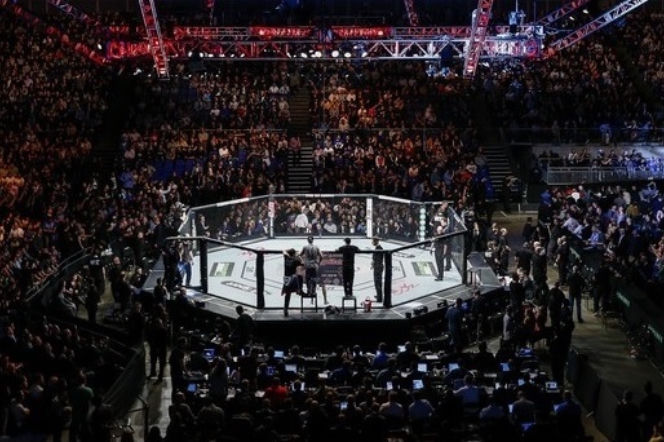 KSW, MMA, oktagon