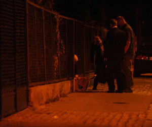 Kota musi karmić nocą