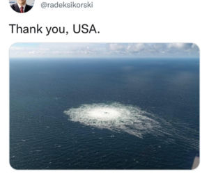 Najsłynniejsze tweety polskiej polityki