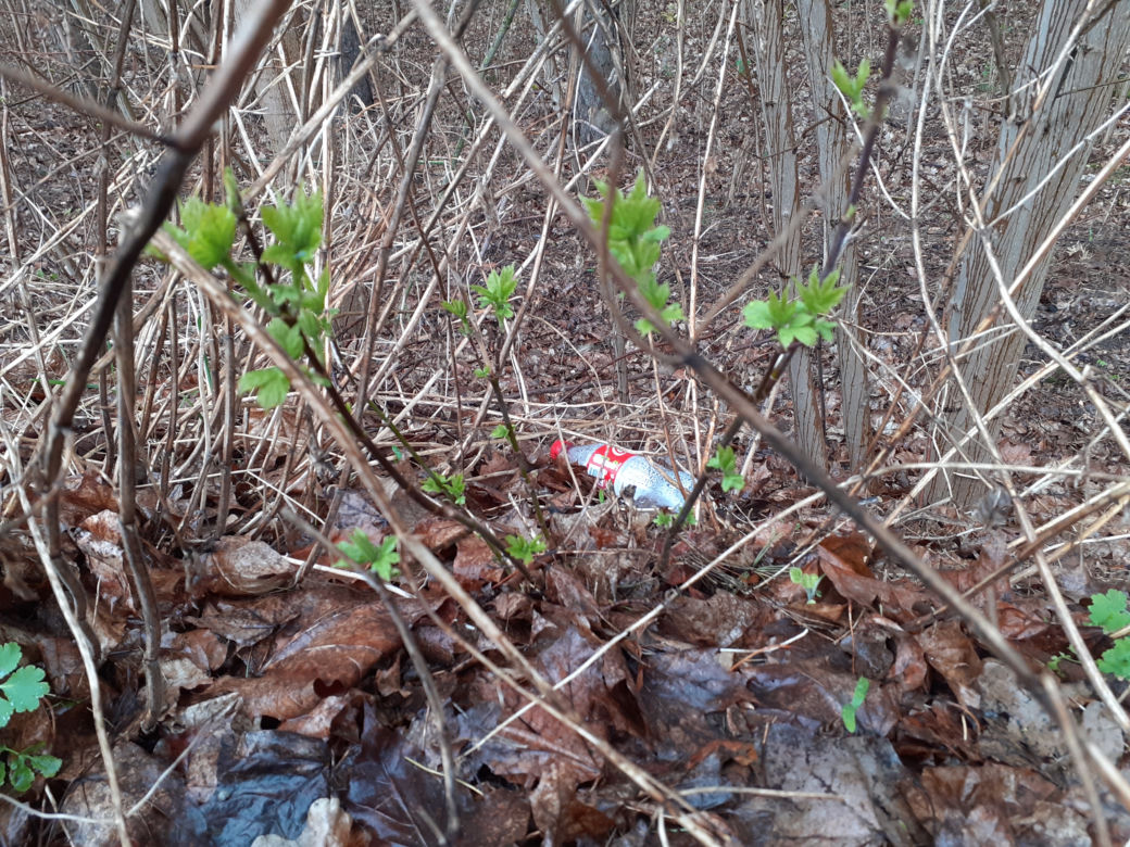 Czuwam dla Ziemi - akcja sprzątania uroczyska Sekuła przez harcerzy w Siedlcach 22.04.2021