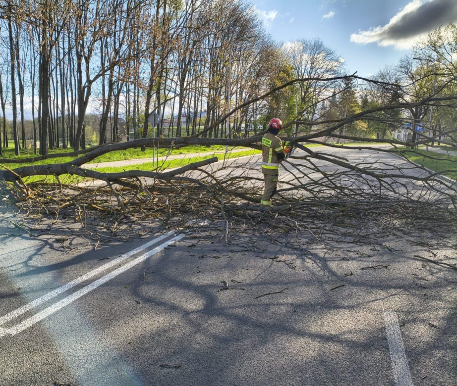 Uszkodzenia po przejściu wichury