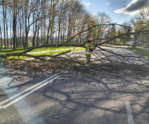 Uszkodzenia po przejściu wichury