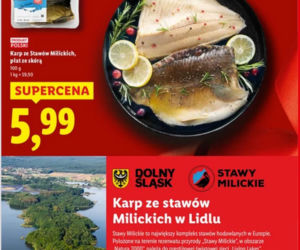 KARP. Ceny w marketach 2025