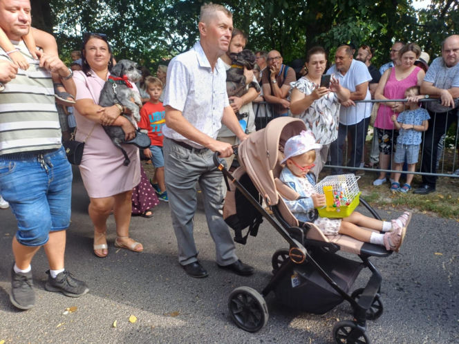 Święcenie zwierząt u św. Rocha 2026