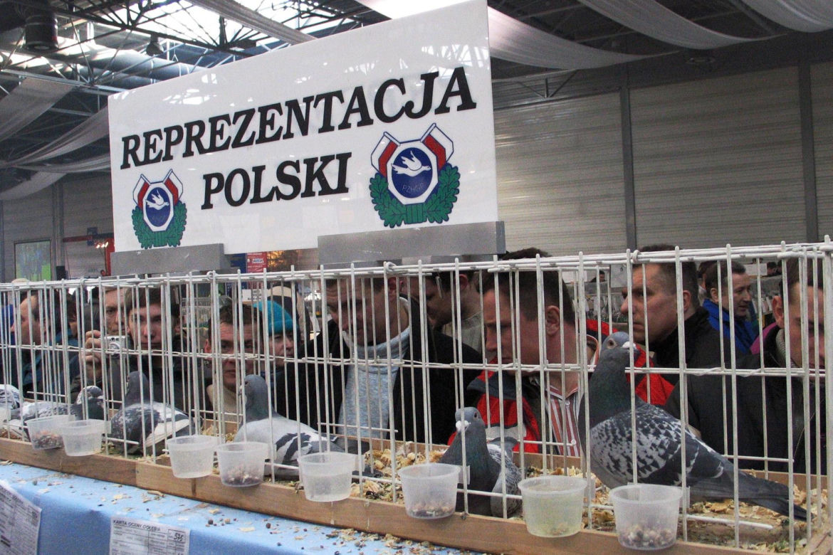 18 lat temu zawalił się dach hali MTK. Zginęło 65 osób. To największa katastrofa budowlana w Polsce