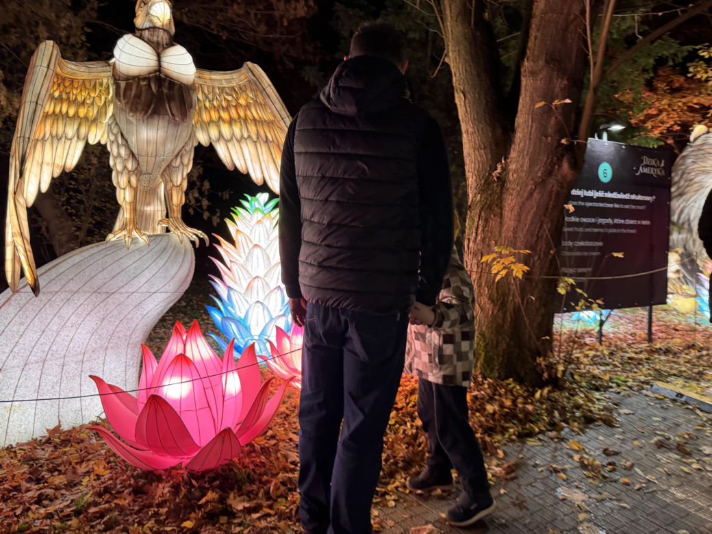 Garden of Lights we Wrocławiu