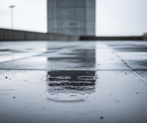 Oprawca strusia Zenka. Jakie słowa usłyszał sąd?