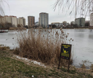 Skrajna nieodpowiedzialność w parku nad Balatonem