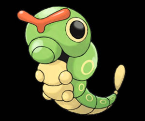 Caterpie
