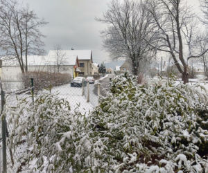 Śnieg w Paczkowie