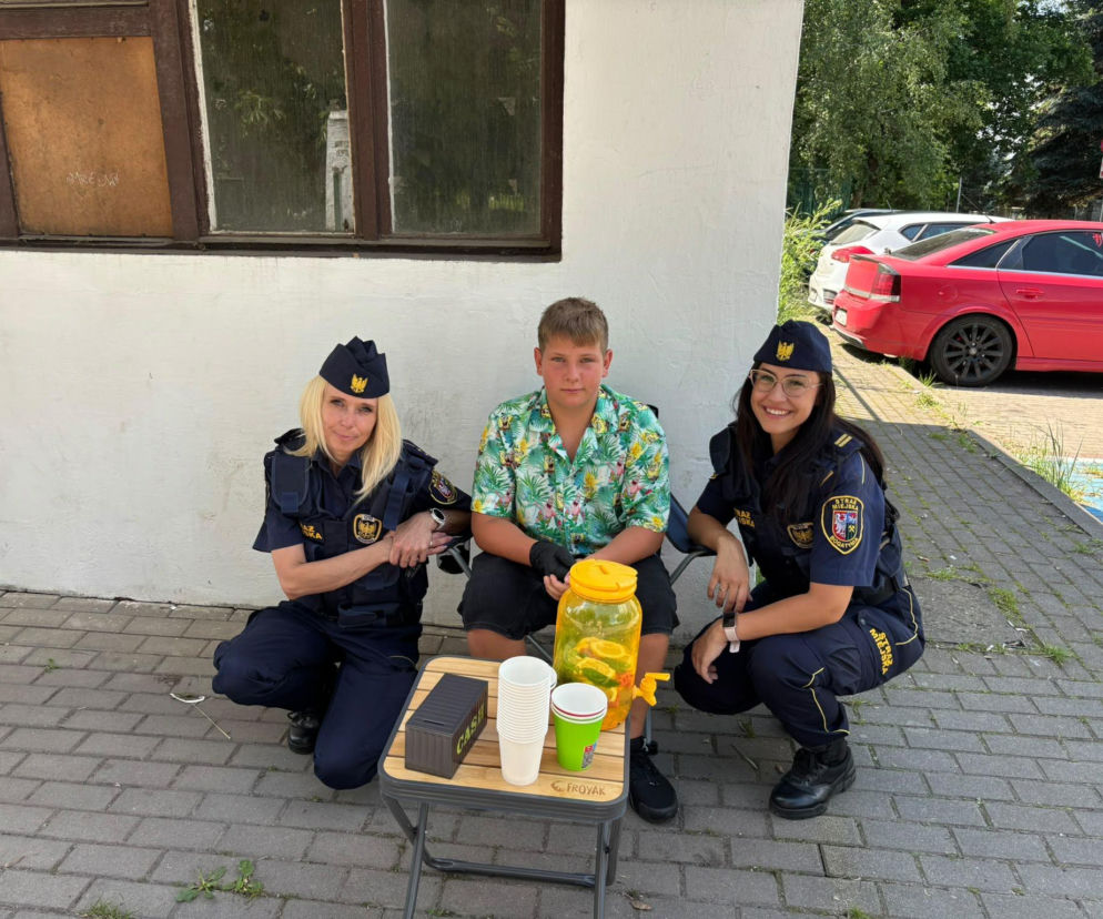 Obraz bez opisu - materiał na naszym portalu