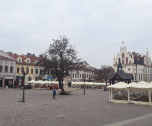 Ogródki na rynku w Rzeszowie już dostępne