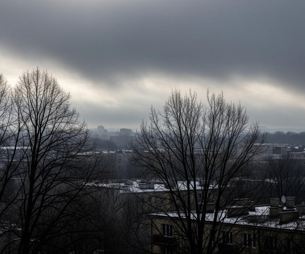 Na pierwszym planie znajdują się dwa duże, bezlistne drzewa, ich ciemne gałęzie tworzą skomplikowane sylwetki na tle nieba i zabudowy miejskiej. Za drzewami rozciąga się miejski krajobraz, gdzie budynki z płaskimi i spadzistymi dachami, pokrytymi cienką warstwą śniegu, dominują w centrum kadru. W oddali widoczne są kolejne budynki i gęstość drzew, zatopione w szarości i mgle, a horyzont zamyka pasmo ciemnych chmur, które przechodzą w jaśniejszy odcień szarości u dołu, sugerując nikłe światło gdzieś za nimi.