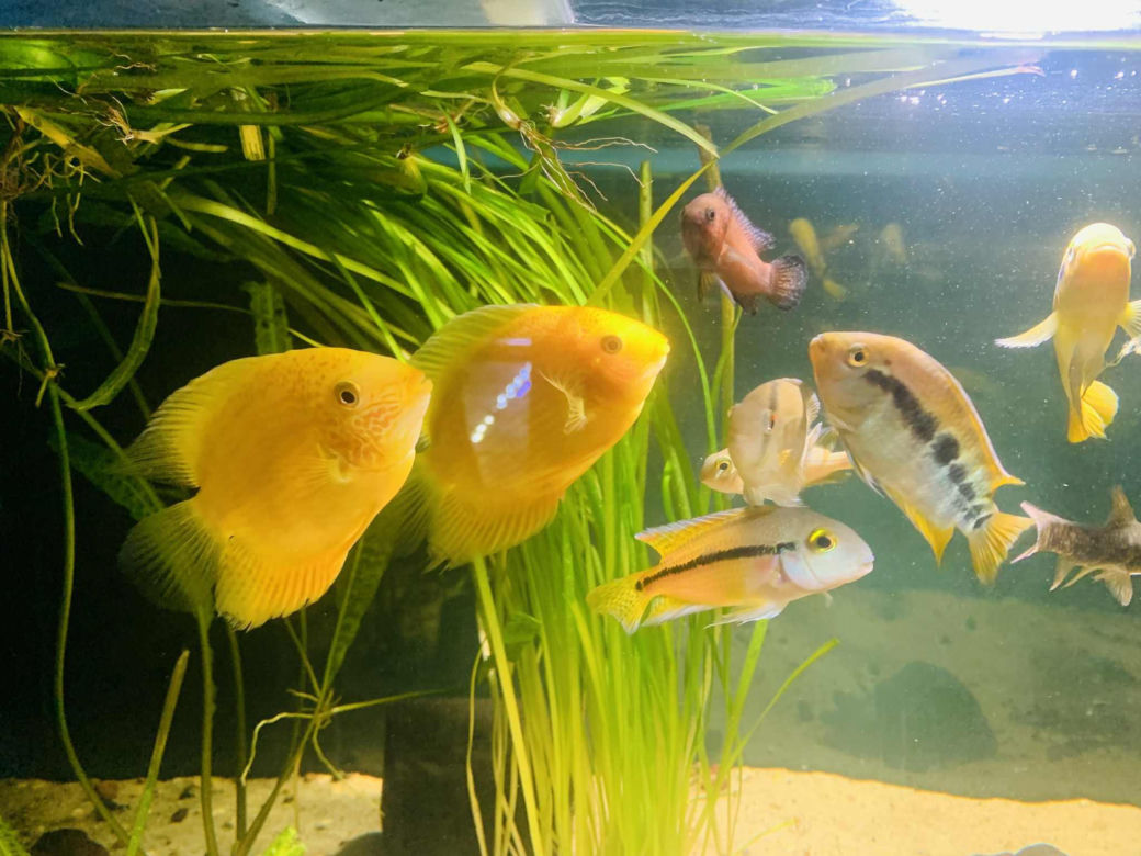 Rozmawiamy z Tomaszem Wiśniewskim, założycielem Aqua Dreams Bydgoszcz