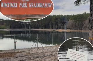 Prywatny właściciel ogrodził płotem jezioro Wielkie Oczko na Kaszubach. Zwierzęta odcięte od wody i wycięte drzew