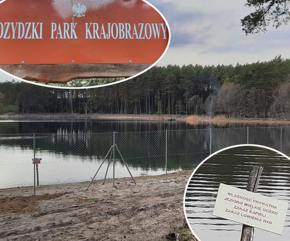 Jezioro Wielkie Oczko ogrodzone płotem. Zwierzęta odcięte od wody. Radny Gdańska: Takiej dewastacji dawno nie widziałem