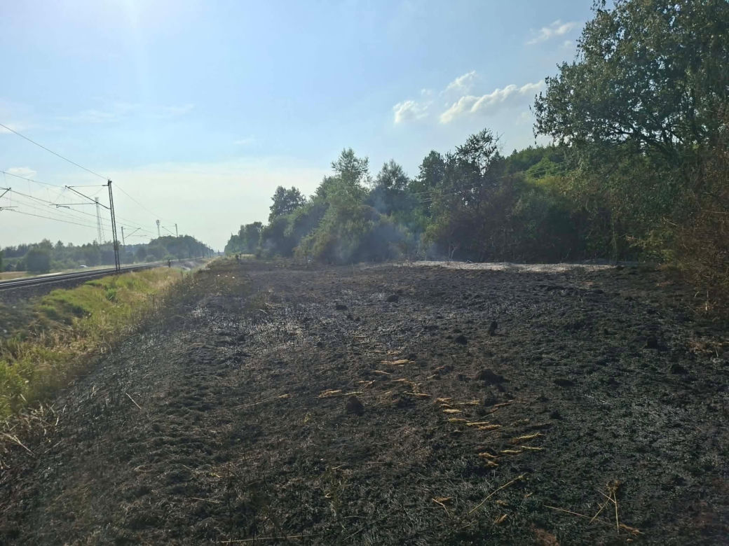 Pożar traw spowodował wstrzymanie ruchu pociągów pomiędzy Mińskiem Mazowieckim i Siedlcami