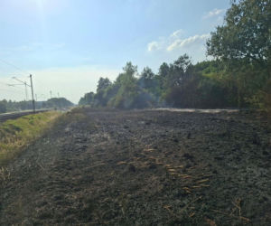 Pożar traw spowodował wstrzymanie ruchu pociągów pomiędzy Mińskiem Mazowieckim i Siedlcami