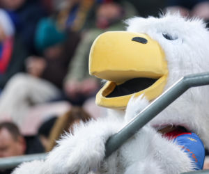 Kibice na meczu Piast Gliwice - Legia Warszawa