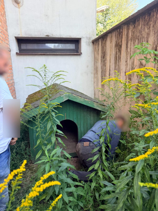 Przed policją schował się do budy. „Sprytna” sztuczka nie pomogła