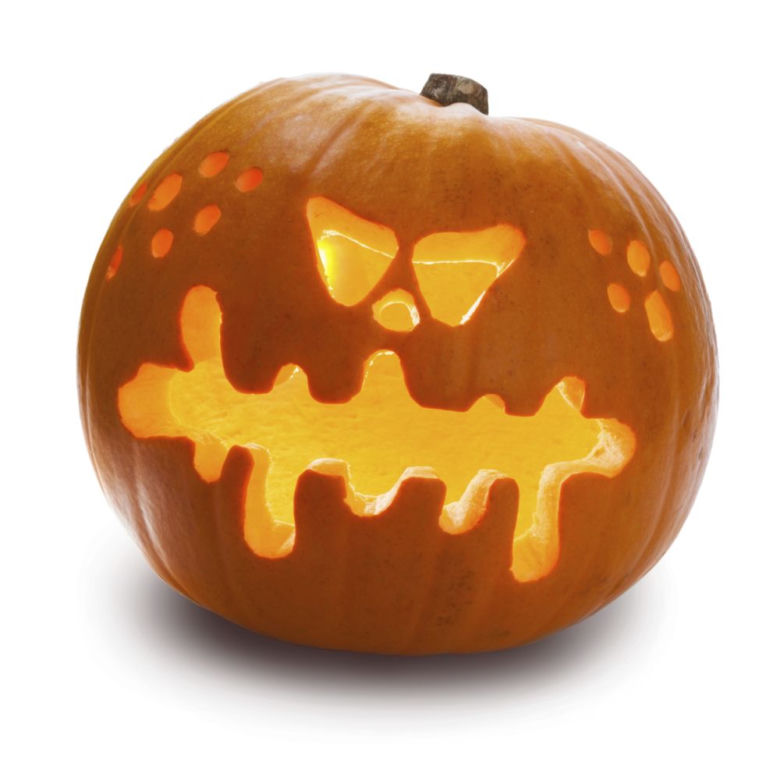 dynia na halloween