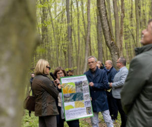 Nowe rezerwaty na terenie woj. lubelskiego