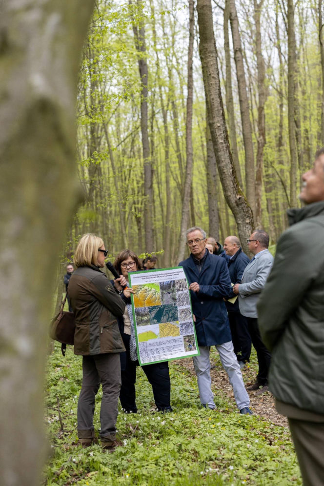 Nowe rezerwaty na terenie woj. lubelskiego