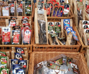 Targi PET EXPO 2019 w Bydgoszczy 