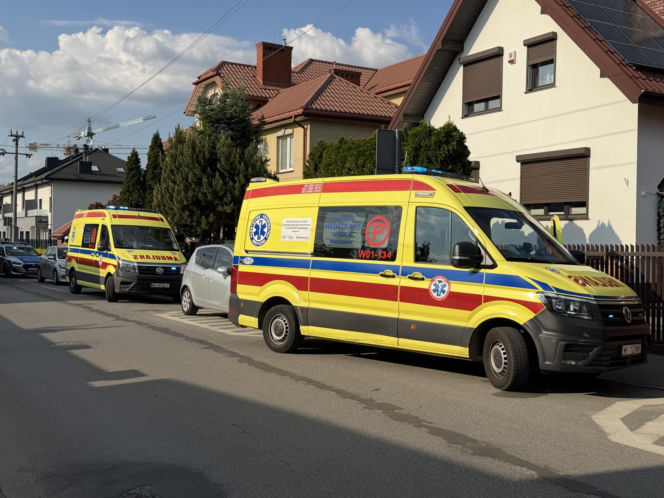 2-latka utonęła na terenie żłobka