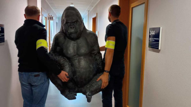 Skradziony goryl przejechał 50 km w bagażniku! Płocka policja odzyskała niezwykłą "zdobycz"