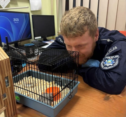 W reklamówce znaleziono chomika! Jedna z najdziwniejszych interwencji policji w Sopocie ma wzruszający finał