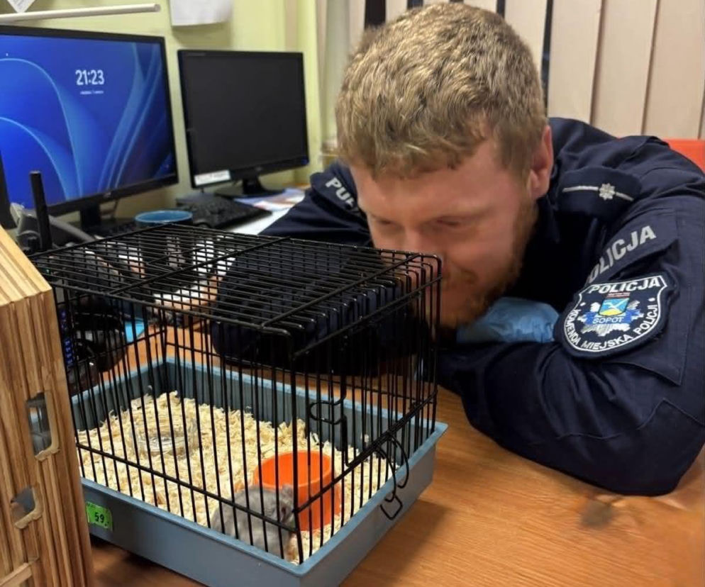 Zaskakujące odkrycie w Sopocie. W reklamówce policjanci znaleźli chomika
