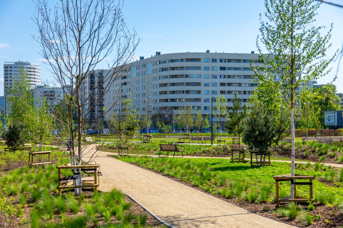 Park nad Południową Obwodnicą Warszawy na Ursynowie
