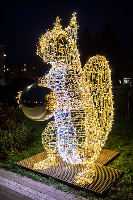 Finał „Świeć się z Energą”. Świąteczne iluminacje w Łomży [ZDJĘCIA]