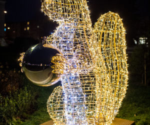 Finał „Świeć się z Energą”. Świąteczne iluminacje w Łomży [ZDJĘCIA]