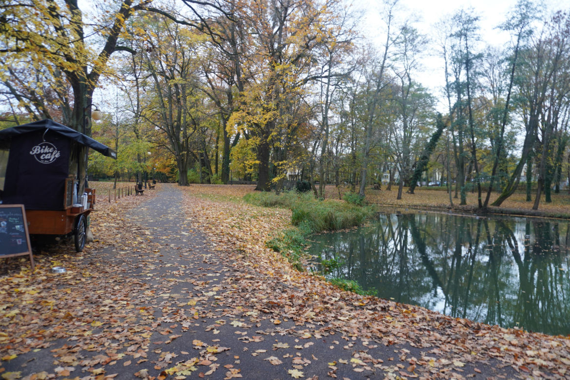 Park Sołacki w Poznaniu jesienią