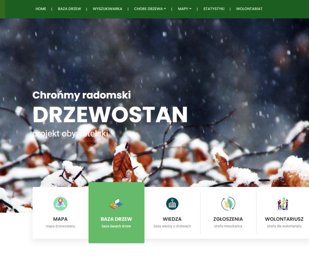 Screen ze strony drzewa.radom.pl