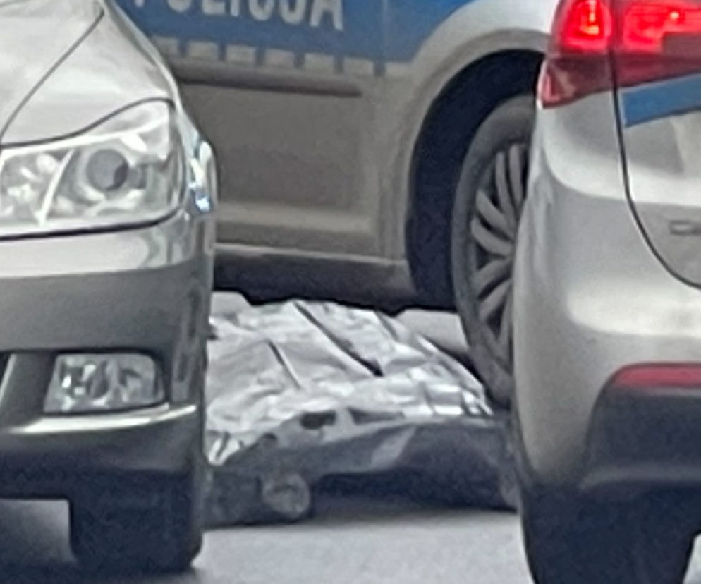Umarł na środku drogi 