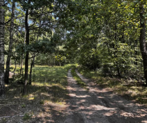 W tych miejscach naprawdę kręcą Ranczo! Tu naprawdę są Wilkowyje