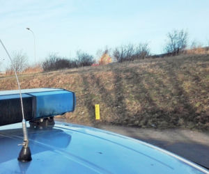 Granat na przystanku w Gdańsku