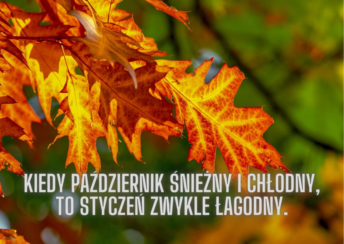 Jesienne przysłowia ludowe. Oto mądrości naszych dziadów!