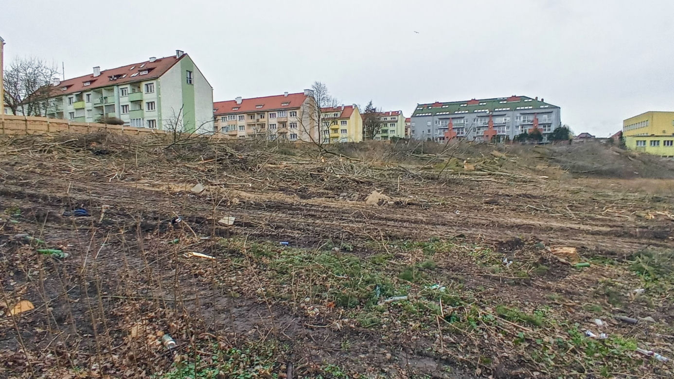 Przy ulicy Janosika wycięto dziesiątki drzew