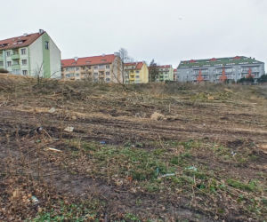 Przy ulicy Janosika wycięto dziesiątki drzew