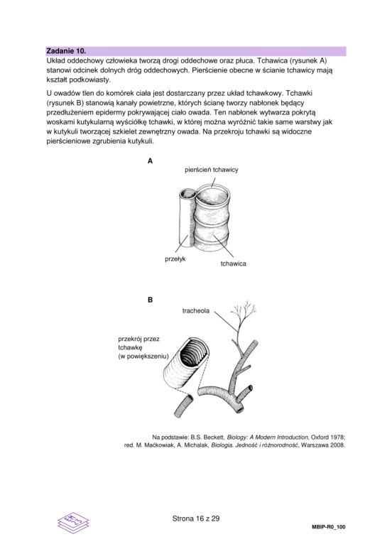 Matura 2023 rozszerzona biologia - arkusz CKE