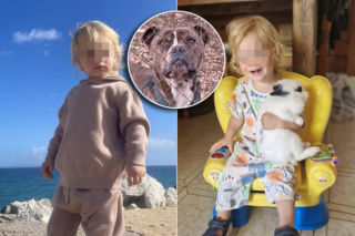 Pies zabił 2-latka! Rodzice stracili Leona z oczu na 30 sekund