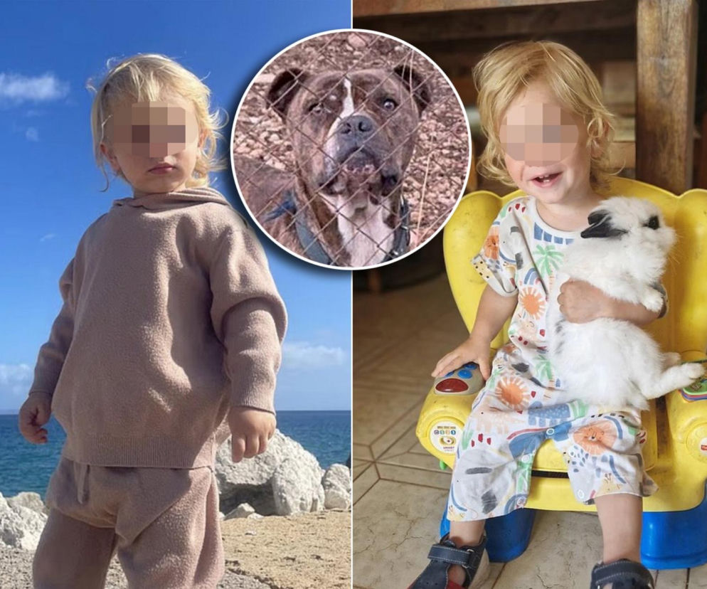 Pies zabił 2-latka! Rodzice stracili go z oczu na 30 sekund