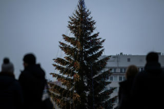Choinka w Siemirowicach hitem. Co tak naprawdę zaskoczyło internautów?